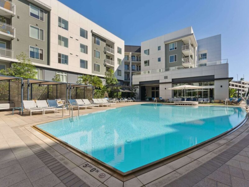 Vive Lux